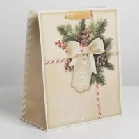 Пакет подарочный новогодний крафтовый «Поздравляю с Новым годом!», ML 23 х 27 х 8 см Пакет подарочный новогодний крафтовый «Поздравляю с Новым годом!», ML 23 х 27 х 8 см