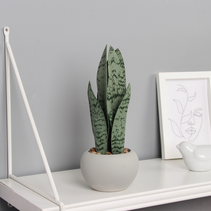 Бонсай в горшке Бонсай в горшке "Сансевиерия леди" 21х8,5 см, микс