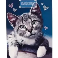 Блокнот А6, 24 листа в клетку на скрепке «Котята», обложка мелованный картон, МИКС