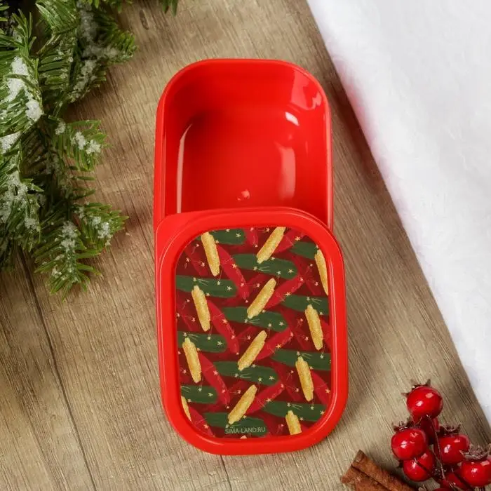 Ланч-бокс «Зима волшебное время», 500 мл