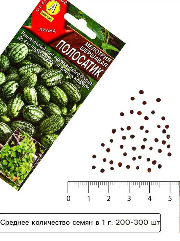 Семена Мелотрия (мышиная дыня) &laquo;Полосатик&raquo;, 0.03 г, &laquo;Аэлита&raquo;