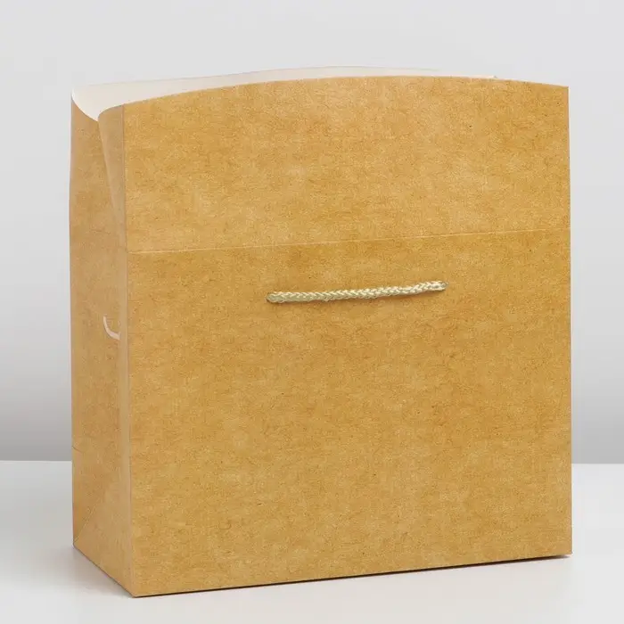 Пакет—коробка «Крафтовый», 28 × 20 × 13 см Пакет—коробка «Крафтовый», 28 × 20 × 13 см