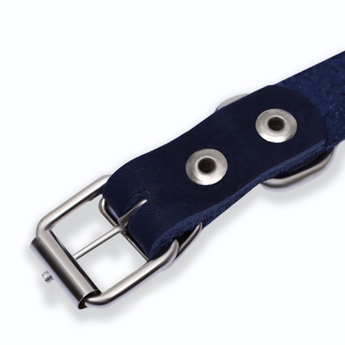 Ошейник кожаный однослойный, 54 х 2,5 см, ОШ 35-45 см, синий Ошейник кожаный однослойный, 54 х 2,5 см, ОШ 35-45 см, синий