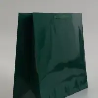 Пакет подарочный ламинированный горизонтальный &laquo;Изумрудный&raquo;, L 40&times;31&times;11.5 см
