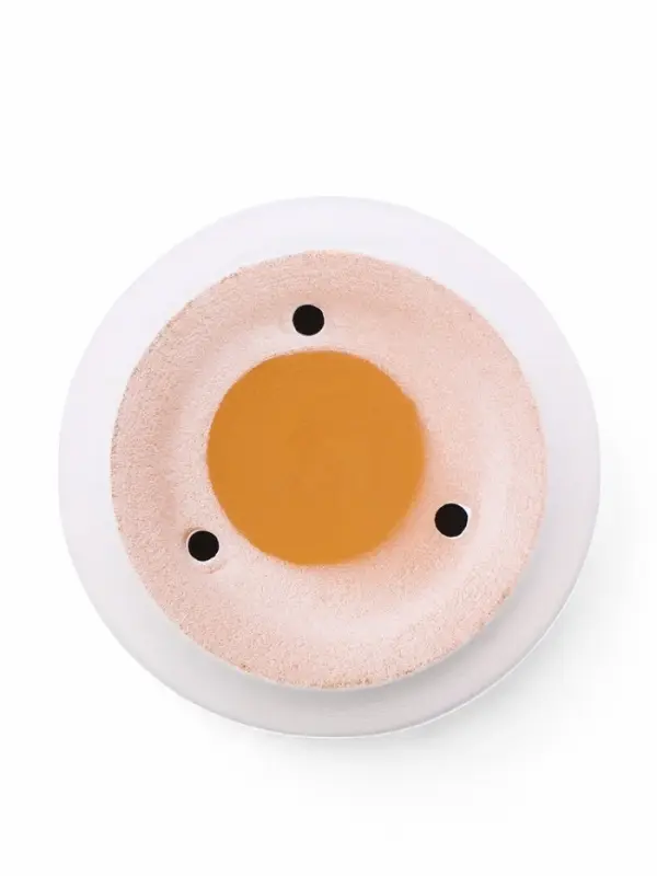 Горшок бонсайница 0,7 л, 15×5,5 см для кактусов и суккулентов белый, керамика Горшок бонсайница 0,7 л, 15×5,5 см для кактусов и суккулентов белый, керамика "Огма"