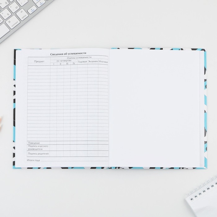 Дневник школьный 5-11 класс «Панды», твердая обложка 7БЦ, глянцевая ламинация, 48 листов Дневник школьный 5-11 класс «Панды», твердая обложка 7БЦ, глянцевая ламинация, 48 листов