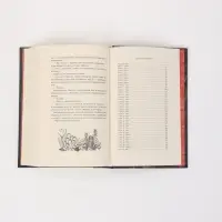 Книга &laquo;Морские глубины. Песнь бездны&raquo;, Эмма Хэмм