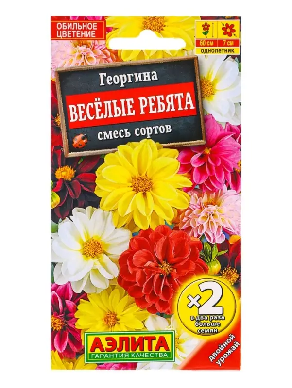 Семена цветов Георгина «Весёлые ребята», смесь сортов,0.6 г Семена цветов Георгина «Весёлые ребята», смесь сортов,0.6 г