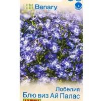 Семена цветов Лобелия Блю виз ай палас кустовая (драже в пробирке) Спецсерия Benary, Ц/П,5 шт. 1094 Семена цветов Лобелия Блю виз ай палас кустовая (драже в пробирке) Спецсерия Benary, Ц/П,5 шт. 1094