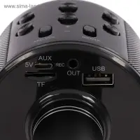 Микрофон для караоке Luazon LZZ-56, WS-858, 1800 мАч, чёрный