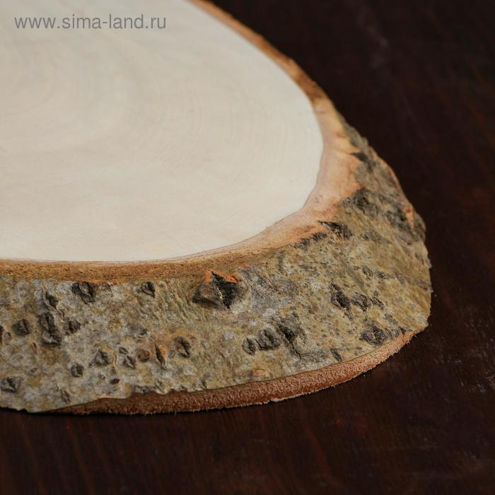 Спил осины, косой, 55х24 ±2см