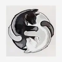 Термонаклейка &laquo;Коты Инь-Ян&raquo;, 18.6&times;18 см