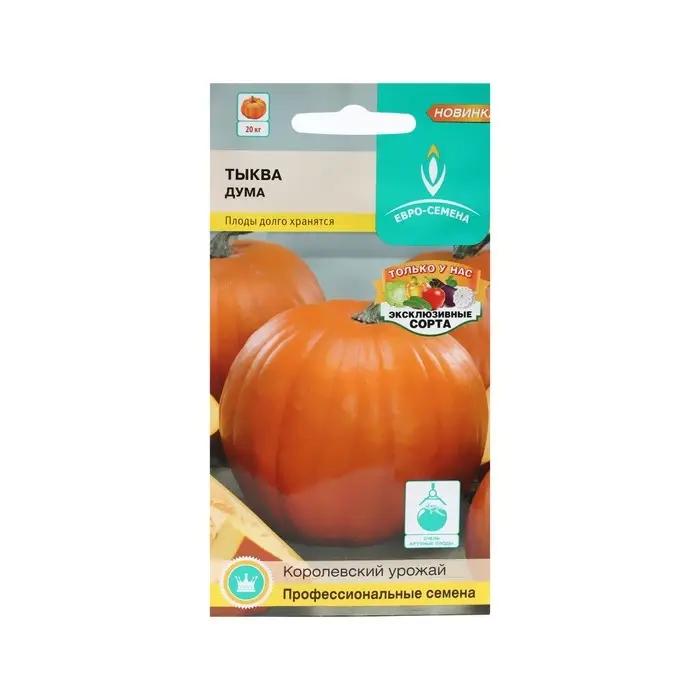 Семена Тыква "Дума",  среднеспелая, округлая, оранжевая, до 25 кг, 5 шт.