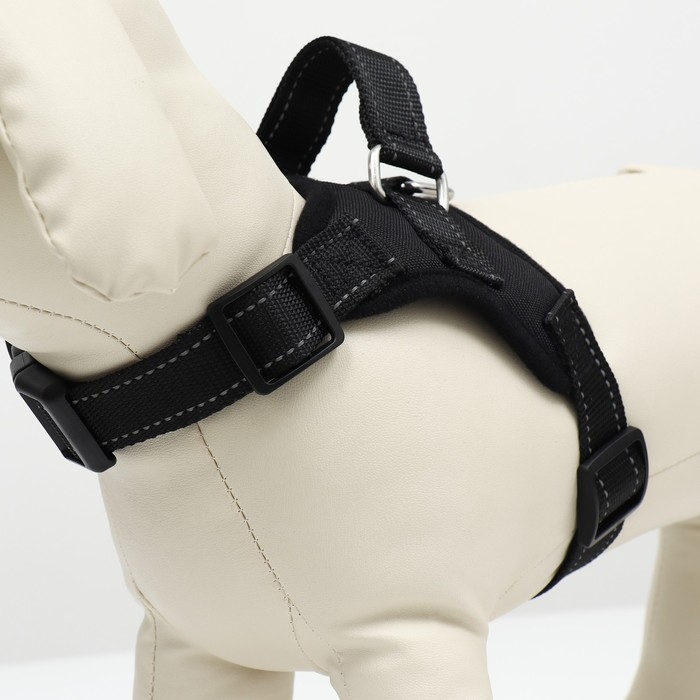 Шлейка К7 мягкая светоотражающая, размер XS, ОГ 34-44 см, вес 2,5-5 кг, чёрная Шлейка К7 мягкая светоотражающая, размер XS, ОГ 34-44 см, вес 2,5-5 кг, чёрная