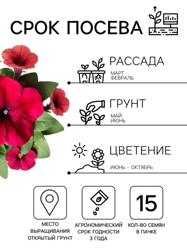 Семена цветов Петуния крупноцветковая &laquo;Танго&raquo;, бордовая, 15 шт.
