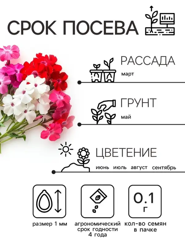 Семена цветов Флокс  Семена цветов Флокс "Разноцветная смесь", 0,1 г