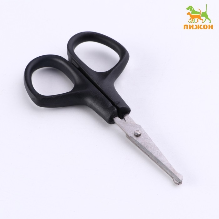 Ножницы для стрижки морды, 10 Х 5 см, микс Ножницы для стрижки морды, 10 Х 5 см, микс