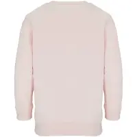 Свитшот детский Columbia Kids, розовый, на рост 96-104