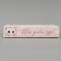 Коробка подарочная с окном &laquo;Твоя улыбка &mdash; чудо!&raquo;, 20&times;12&times;4 см, самосборная