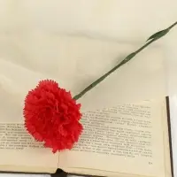 Цветы искусственные «Гвоздика красная», h=46 см, d=8 см