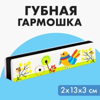 Губная гармошка «Курочка», размер 2×13×3 см, цвет белый