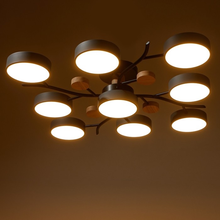 Люстра 1316/9GR LED 216Вт 3000-6000К серый 87х87х17 см BayerLux