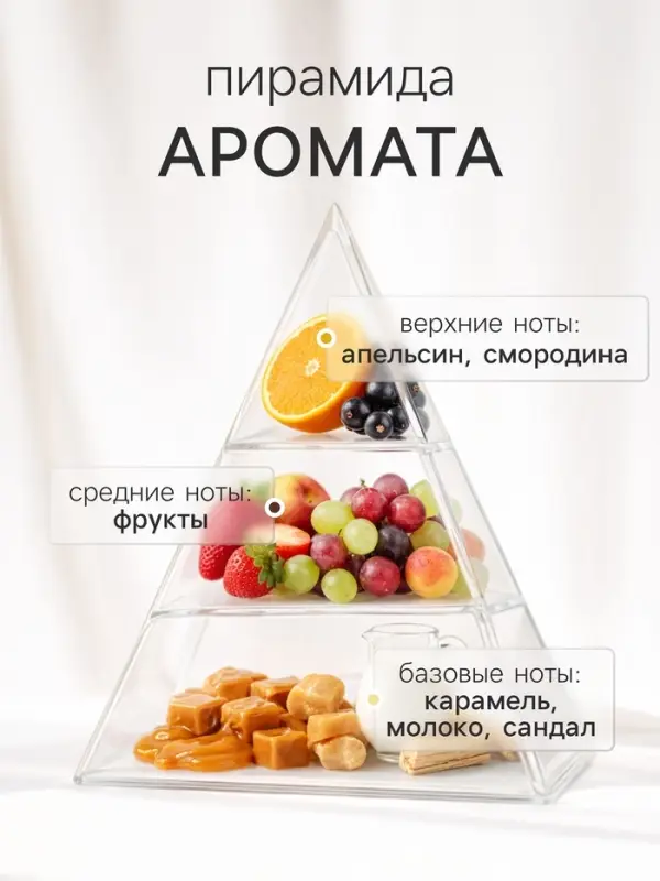 Диффузор ароматический с палочками Nero Orion, 50 мл