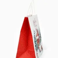 Набор пакетов крафтовых «Новогодний», 10 шт, 22 × 22 × 11 см Набор пакетов крафтовых «Новогодний», 10 шт, 22 × 22 × 11 см