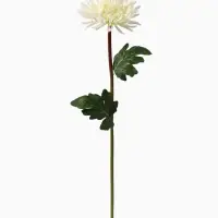Цветы искусственные &laquo;Астра пионовидная&raquo;, 17&times;63 см, белые