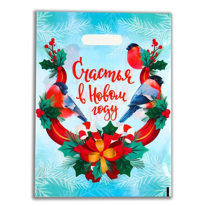 Пакет Пакет "Счастья в Новом году", полиэтилен. с вырубн. ручкой, 30х40 см, 50 мкм набор 10 штук