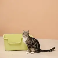 VETTA Лоток для домашних животных, пластмасса, 50х38,5х21,5 см