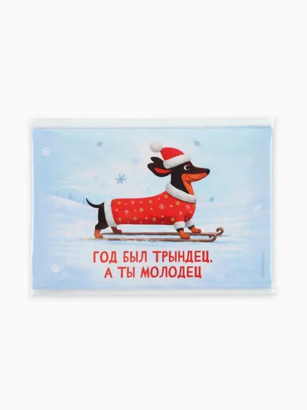 Наклейка на бутылку «Год был трындец, а ты молодец», 12×8 Наклейка на бутылку «Год был трындец, а ты молодец», 12×8