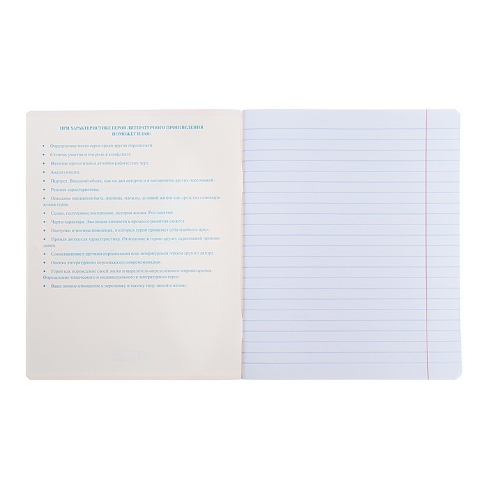 Тетрадь предметная "Яркая цветная", 48 листов в линию "Литература", обложка мелованный картон, выборочный лак, со справочным материалом