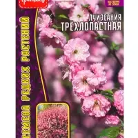 Семена цветов Луизеания &laquo;Трёхлопастная&raquo; Миндаль, 3 шт. &laquo;Григорьев&raquo;