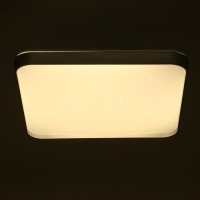 Люстра с ПДУ 33088 72Вт LED 3000-6000К, диммир., серебро, 50х50х7 см