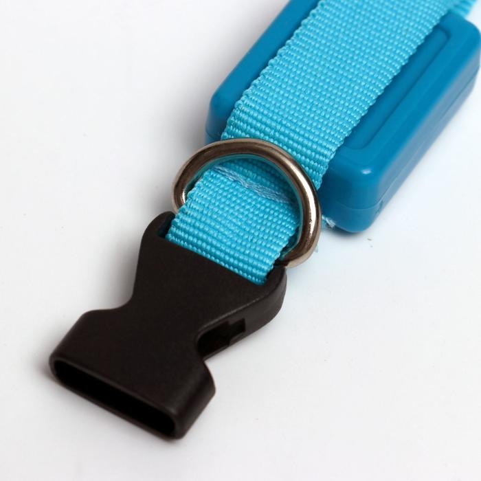 Ошейник светящийся узкий для небольших собак, 26 х 1,5 см, голубой Ошейник светящийся узкий для небольших собак, 26 х 1,5 см, голубой