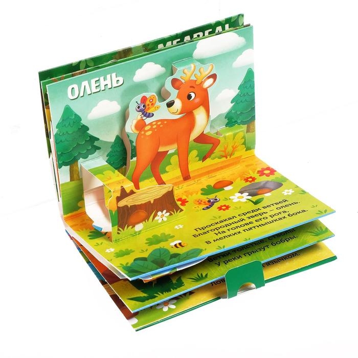 Книжка-панорамка 3D «Кто прячется в лесу?» 12 стр. Книжка-панорамка 3D «Кто прячется в лесу?» 12 стр.