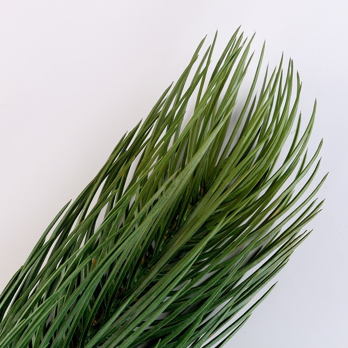 Новый год! Литая веточка, зелёная, набор 1 шт. Новый год! Литая веточка, зелёная, набор 1 шт.