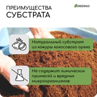 Субстрат кокосовый в брикете, 25 л, 100% торф, Greengo