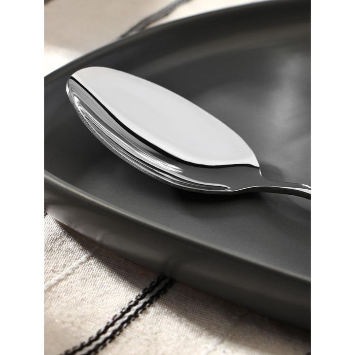 Ложка столовая из нержавеющей стали Magistro «Блинк», длина 22 см, цвет серебряный Ложка столовая из нержавеющей стали Magistro «Блинк», длина 22 см, цвет серебряный