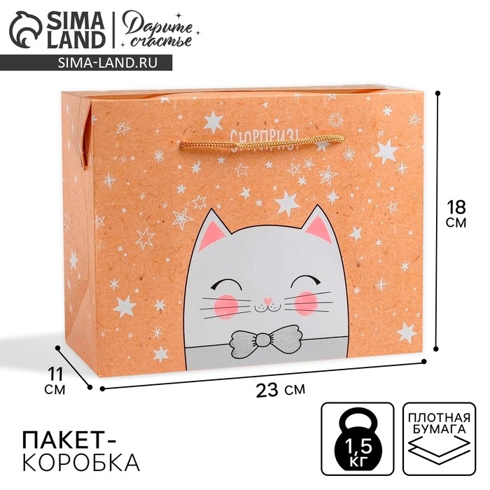 Пакет—коробка «Сюрприз!», 23 х18 х11 см Пакет—коробка «Сюрприз!», 23 х18 х11 см