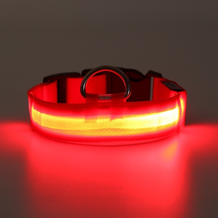 Ошейник с подсветкой размер S, ОШ 35-43 х 2,5 см, 3 режима свечения красный Ошейник с подсветкой размер S, ОШ 35-43 х 2,5 см, 3 режима свечения красный