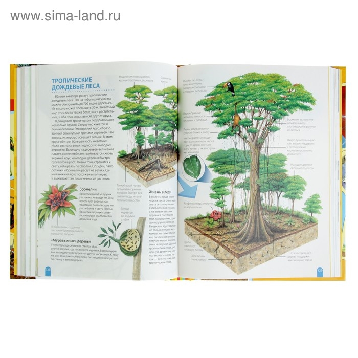 Большая энциклопедия школьника «Как это работает?» Большая энциклопедия школьника «Как это работает?»