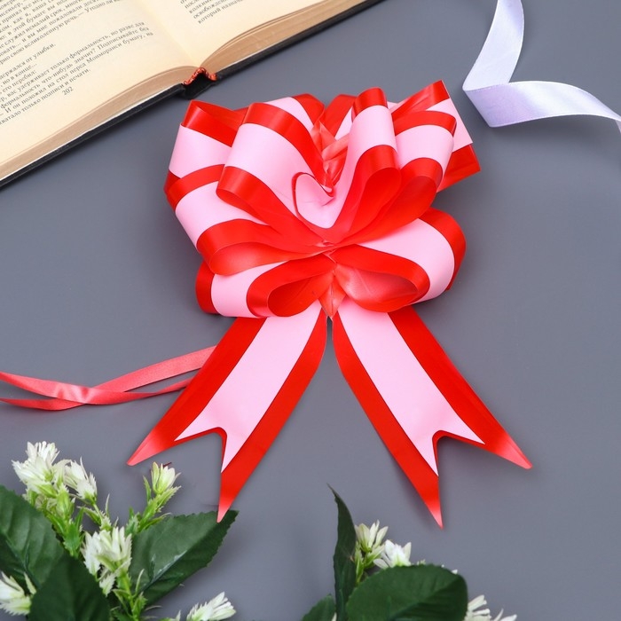 Бант-шар №5 Бант-шар №5