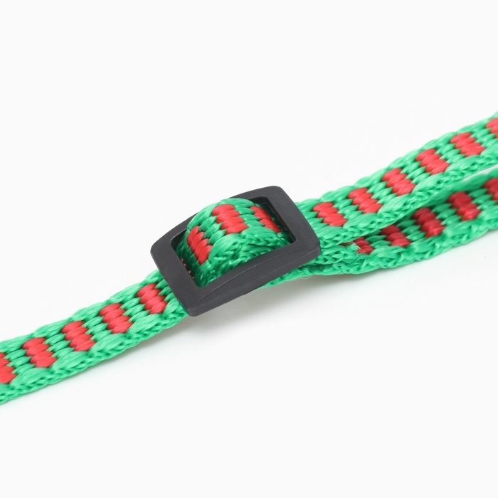 Ошейник Ошейник "Подарки", 30 х 1 см, капрон, красный