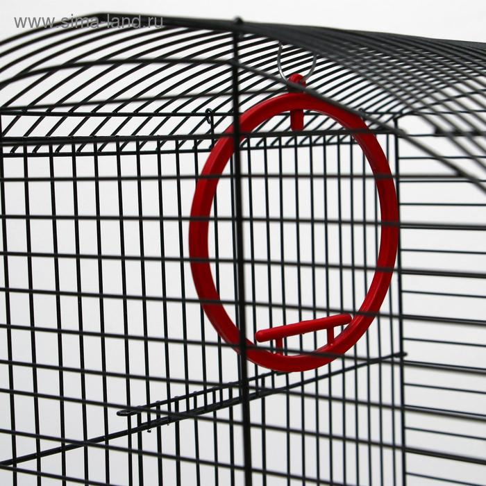 Клетка для попугая Клетка для попугая "Фиона", 4 яруса, 48 х 38 х 65 см, микс цветов