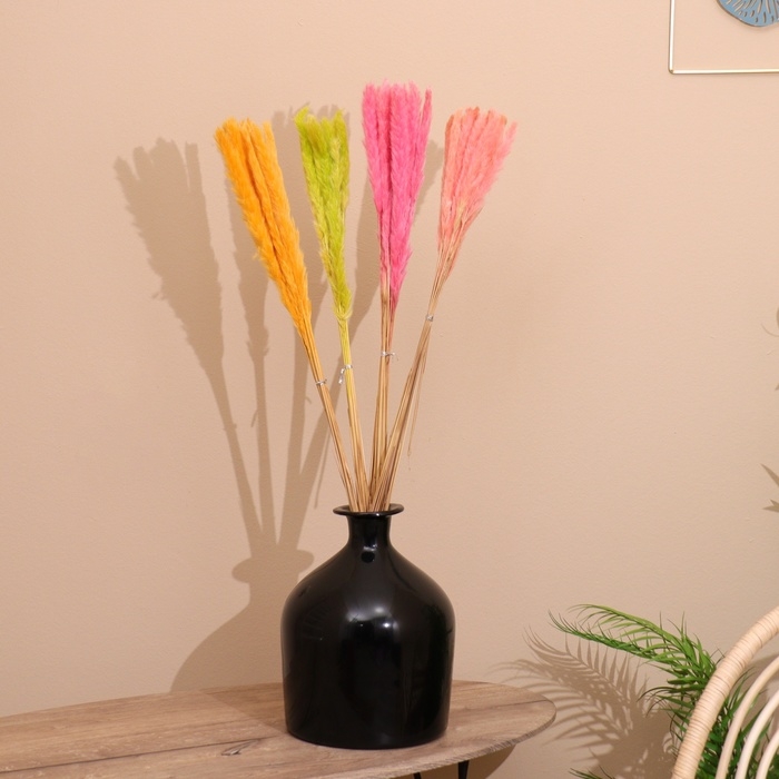 Набор сухоцветов 80 см (10 шт) микс Набор сухоцветов 80 см (10 шт) микс