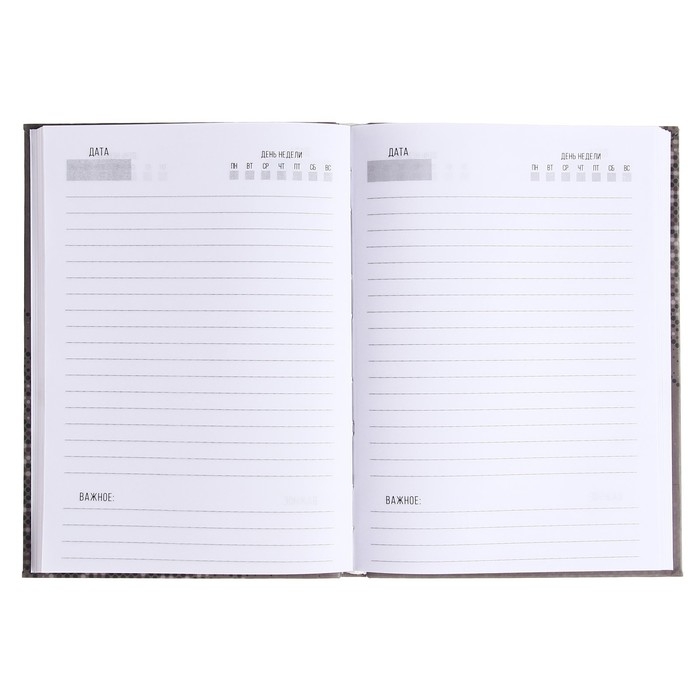 Ежедневник недатированный на сшивке А5 136 листов, интегральная обложка, матовая ламинация, Business woman Ежедневник недатированный на сшивке А5 136 листов, интегральная обложка, матовая ламинация, Business woman