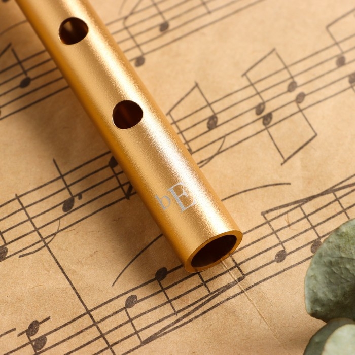 Флейта Music Life Е, золотая Флейта Music Life Е, золотая