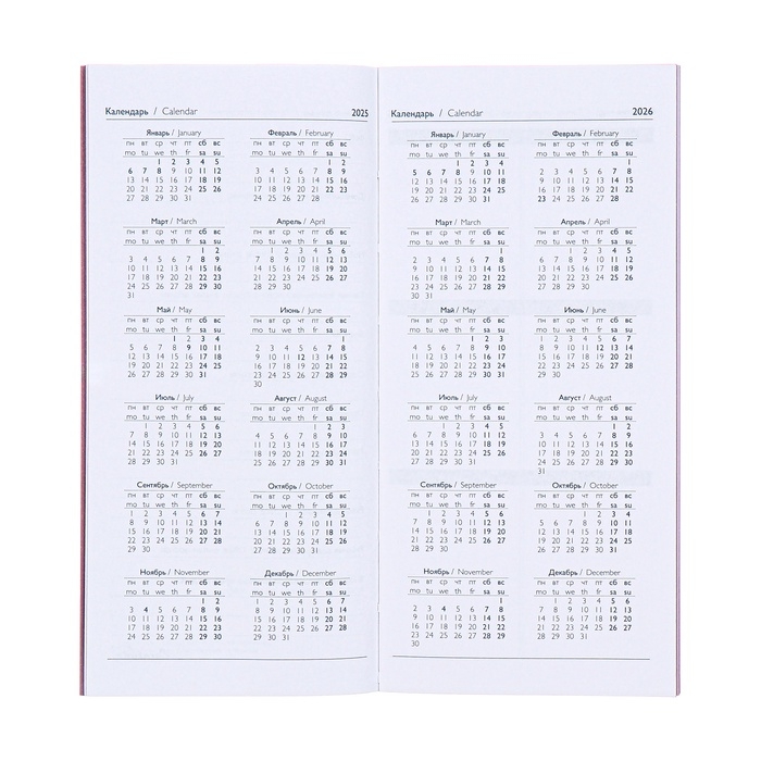 Еженедельник датированный 2025 года, 80х165 мм, 64 листа ESCALADA, мягкая обложка из искусственной кожи, блинтовое тиснение, блок 70 г/м², сиреневый Еженедельник датированный 2025 года, 80х165 мм, 64 листа ESCALADA, мягкая обложка из искусственной кожи, блинтовое тиснение, блок 70 г/м², сиреневый